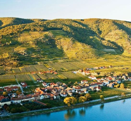 New Release Drop - Austria 2020 Arrivals