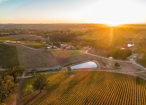 New Releases & Updates February 21st