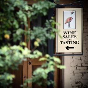 New Releases & Updates February 15th