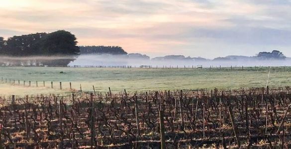 Winery Spotlight - Bass Phillip (Gippsland)