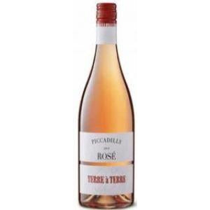 Terre a Terre 'Down to Earth' Rose 2023